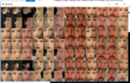 Facemapping.png