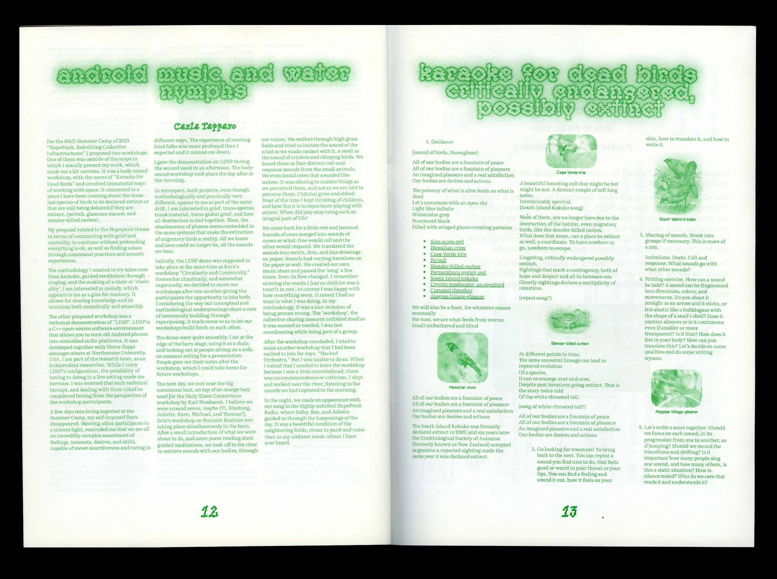 ID: A double page of the H&D Bulletin #2. On view is the contribution of Carla Tapparo "Android Music and Water Nymphs" in the left page and "Karaoke for dead birds — Critically endangered, possibly extinct" on the right page. The text is designed in a 3 column layout. On the right page there are images of small birds scattered throughout the text.