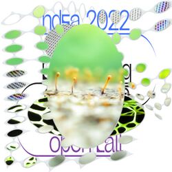 OpencallHDSA2022.jpg