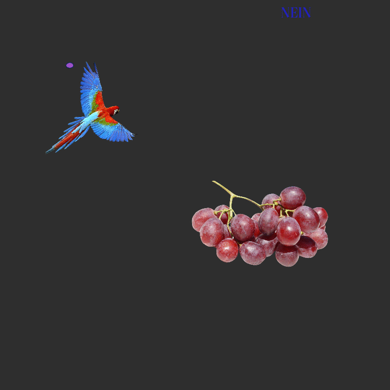 Parrot-grapes-nein.gif