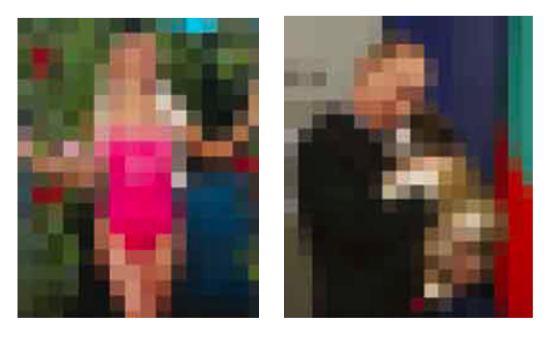 File:Pixelated img.png