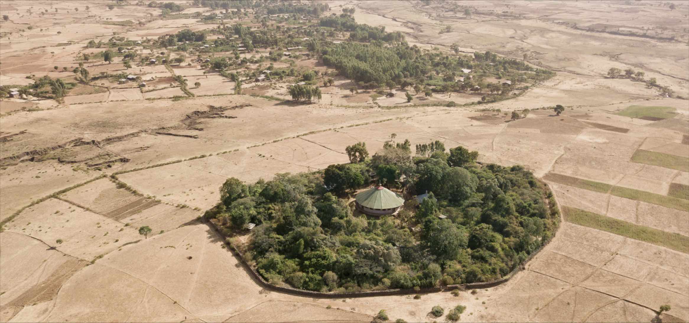 Forest at an Ethiopian church