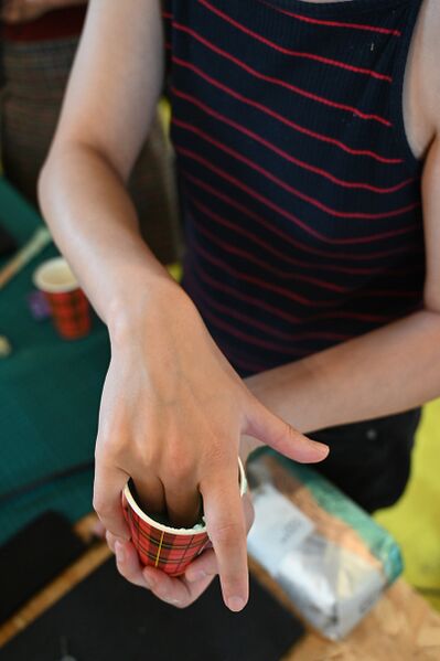 File:Queersextech8.JPG